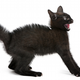 Image for article titled "Scary Smart" Is A Horrible Expression